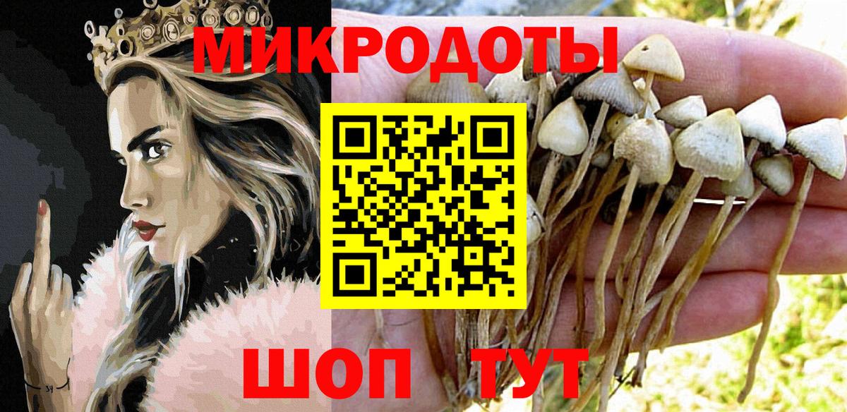 Ликино-Дулёво  Псилоцибиновые грибы MAGIC MUSHROOMS  Вход с VPN  Галлюциногенные грибы прущие грибы 